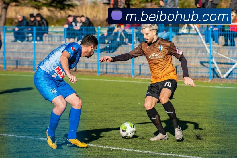 App Interface Preview