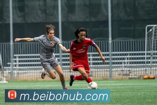 贝博体育APP 封面图